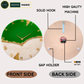 Green Peak Silent Wall Clock 27 Inches