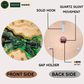 Green Pond Silent Wall Clock 27 Inches